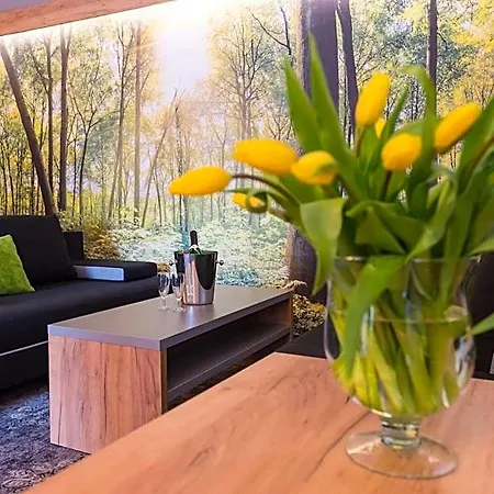 Goral Spa&wellness Szczyrk