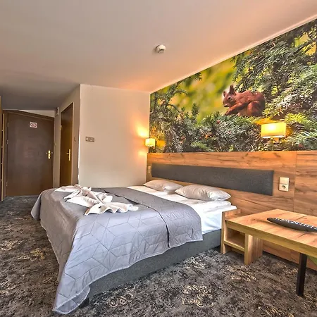 Goral Spa&wellness Resort Szczyrk