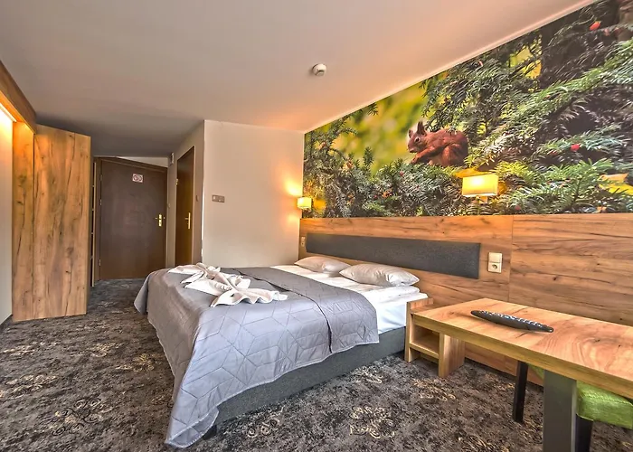 Góral Spa&wellness Resort Szczyrk